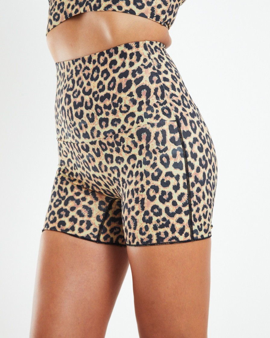 Clearance ITS NOW COOL Contour Boy Shorts Bengal Brown